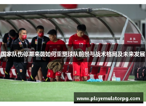 国家队伤停潮来袭如何重塑球队前景与战术格局及未来发展